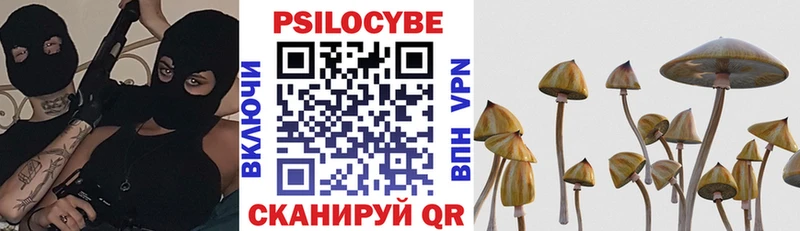 Купить закладки  Сорочинск  Псилоцибиновые грибы Psilocybine cubensis 